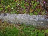 image of grave number 919862